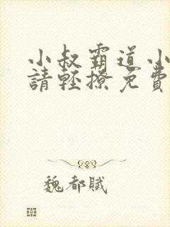小叔霸道小叔 请轻撩免费漫画