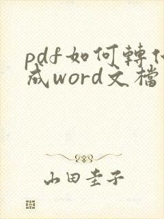 pdf如何转化成word文档软件