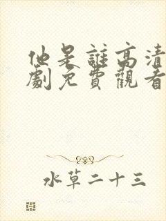 他是谁高清电视剧免费观看完整版