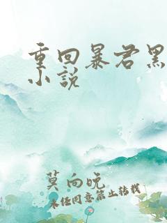 重回暴君黑化前小说