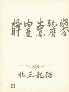 婚内出轨过错方财产怎么分配