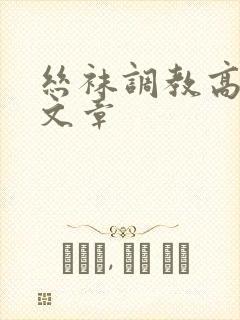 丝袜调教高h的文章