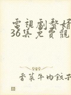 电视剧赘婿1至36集免费观看