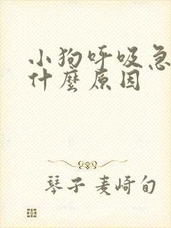 小狗呼吸急促是什么原因