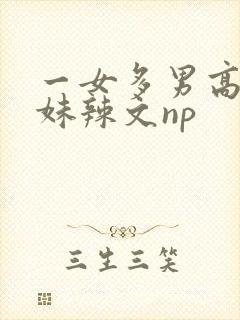 一女多男高h兄妹辣文np