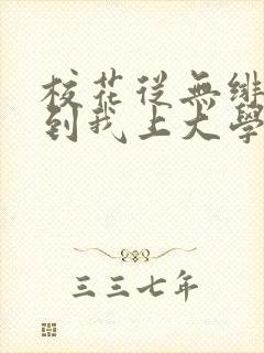 校花从无绯闻直到我上大学小说txt