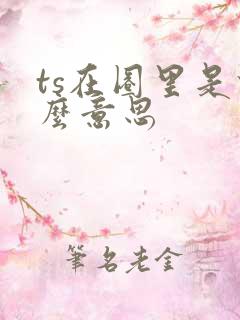 ts在圈里是什么意思