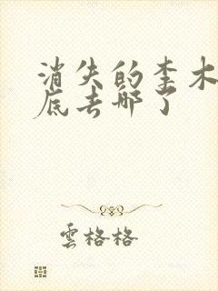 消失的李木子到底去哪了