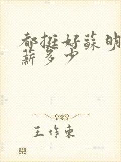 都挺好苏明玉年薪多少
