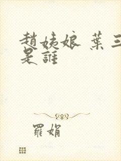 赵姨娘 叶三少是谁