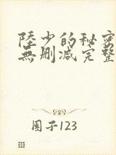 陆少的秘密恋人无删减完整版
