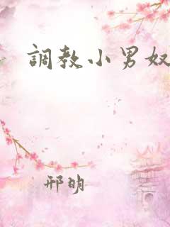 调教小男奴