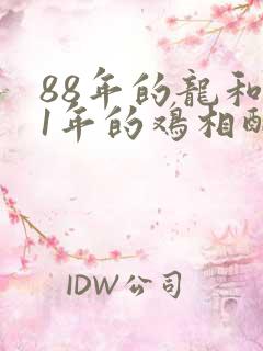 88年的龙和81年的鸡相配吗
