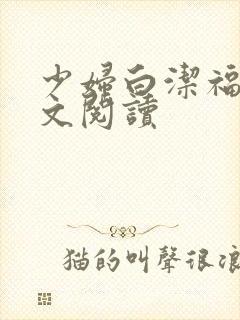 少妇白洁福伯全文阅读