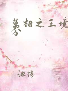 万相之王境界划分
