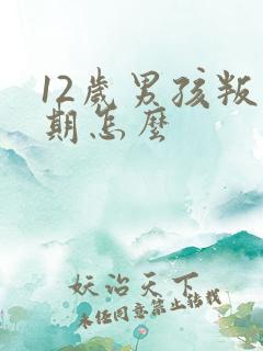 12岁男孩叛逆期怎么