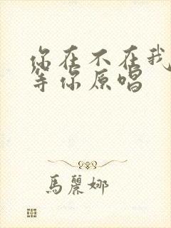 你在不在我都在等你原唱