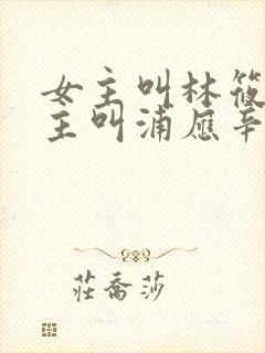 女主叫林筱帆男主叫浦应辛的小说