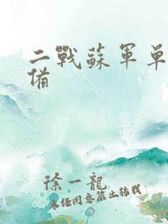 二战苏军单兵装备