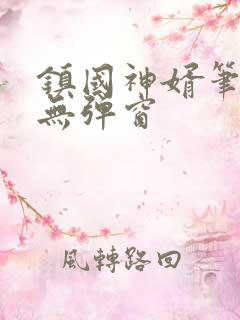 镇国神婿笔趣阁无弹窗