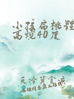 小孩扁桃体化脓高烧40度