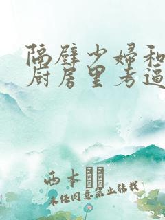 隔壁少妇和我在厨房里考逼视频