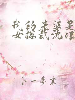 我的老婆是冰山女总裁沈浪最新