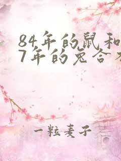 84年的鼠和87年的兔合不合婚