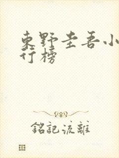 东野圭吾小说排行榜
