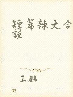 短篇辣文合集小说