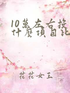 10万左右投资什么项目比较好
