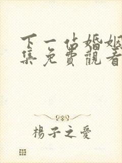 下一站婚姻剧全集免费观看