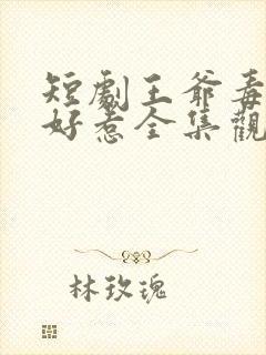 短剧王爷毒妃不好惹全集观看