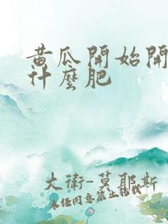 黄瓜开始开花施什么肥