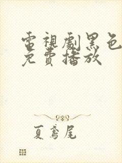 电视剧黑色月光免费播放