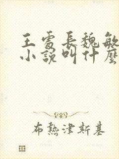 王处长魏敏绿奴小说叫什么名字