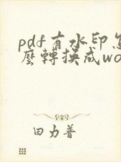 pdf有水印怎么转换成word