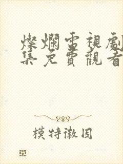 灿烂电视剧40集免费观看