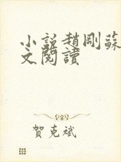 小说赵刚苏柔全文阅读