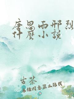 唐思雨邢烈寒是什么小说