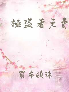极盗者免费观看