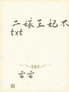 二嫁王妃不好惹txt