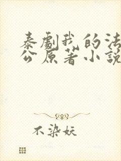 泰剧我的法定老公原著小说