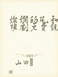 灿烂的风和海电视剧免费观看全集在线播放