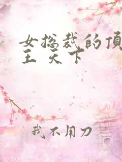 女总裁的顶级兵王 天下