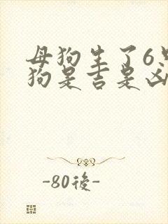 母狗生了6只小狗是吉是凶