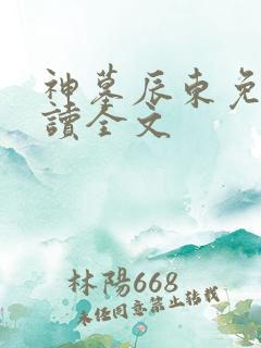 神墓辰东免费阅读全文
