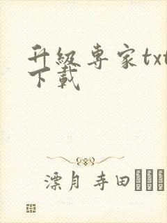 升级专家txt下载