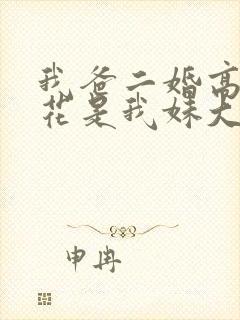 我爸二婚高冷校花是我妹大结局