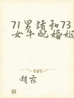 71男猪和73女牛配婚姻好不好